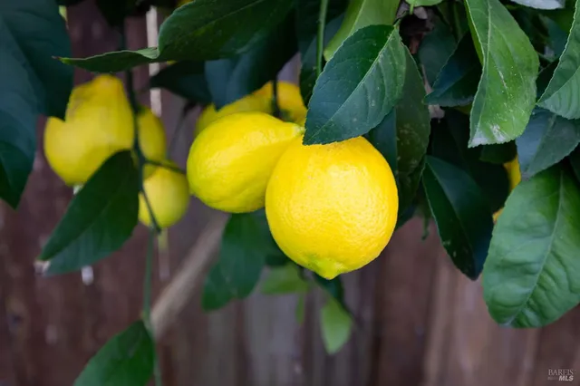 $355,000 | 24 Leisure Park Circle, Santa Rosa, CA 95401