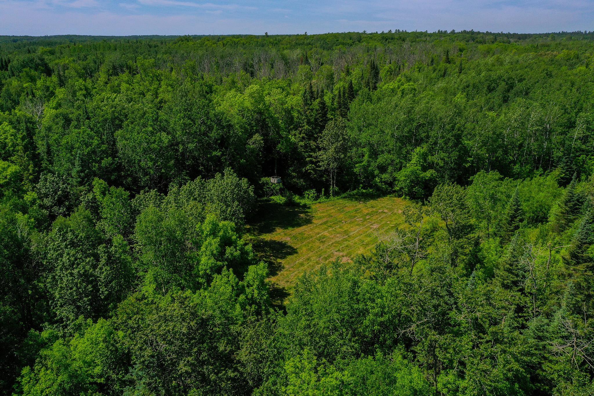 47 Co Highway 47 Osage, MN 56570 - Photo 7 of 59