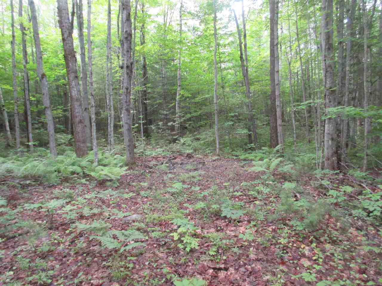 112 Farnsworth Road Brownfield, ME 04010 - Photo 11 of 25