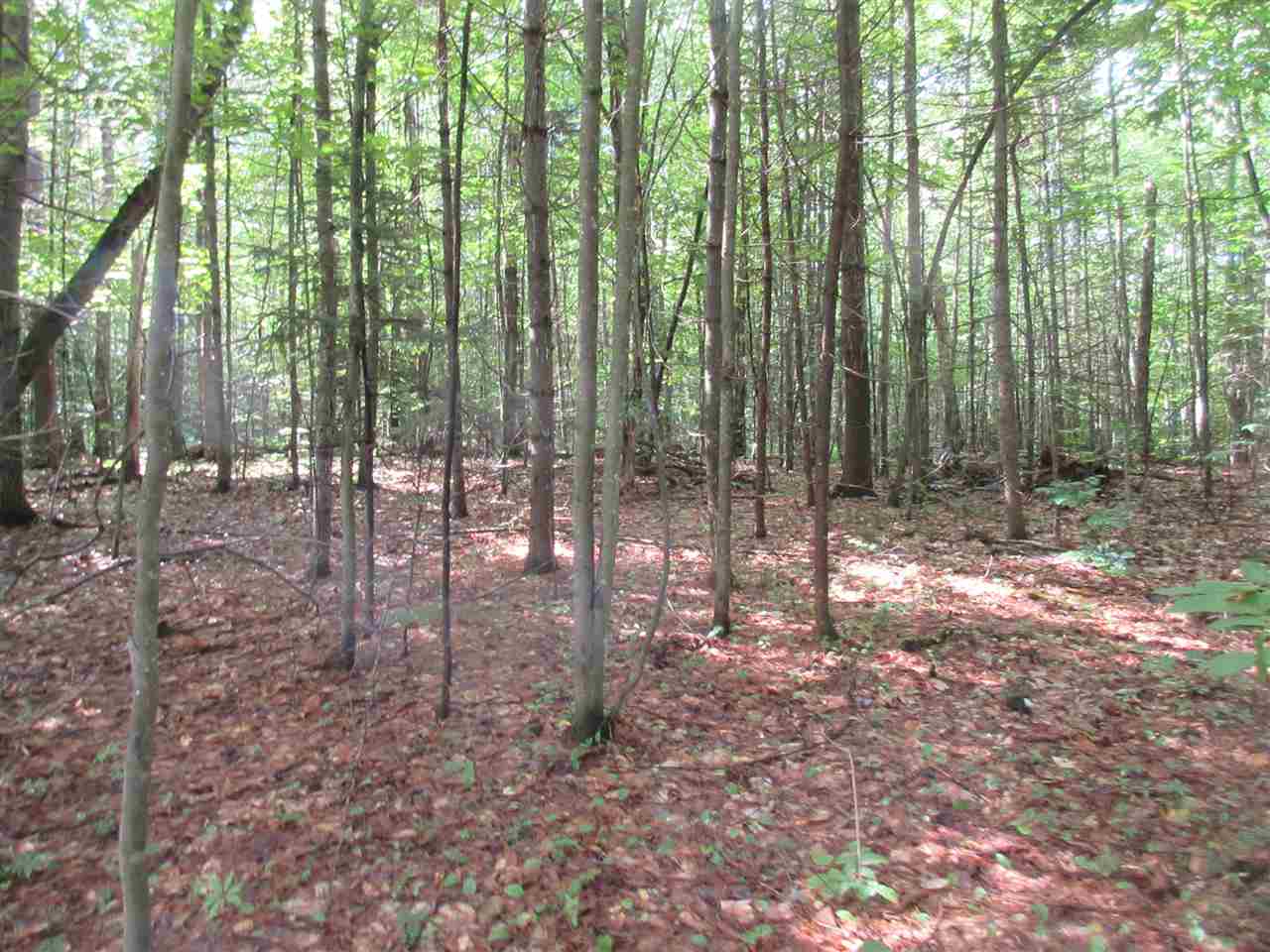 112 Farnsworth Road Brownfield, ME 04010 - Photo 16 of 25