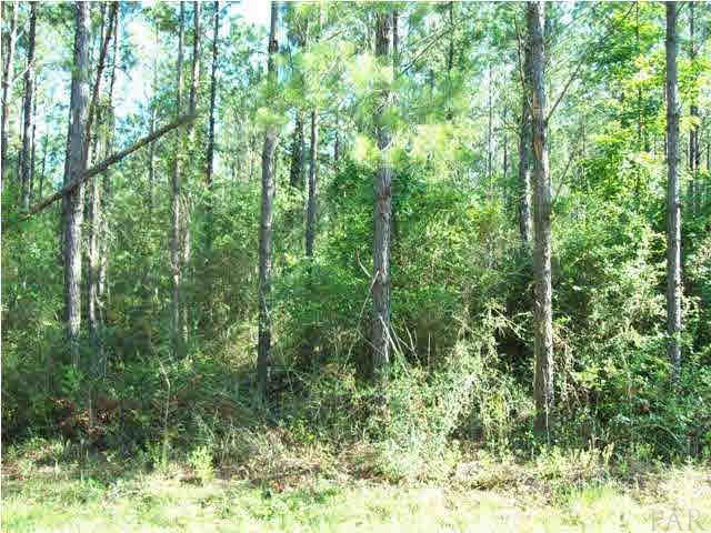 Lot 8 Annie Penton Road Jay, FL 32565 - Photo 3 of 4 Gallery Image 3