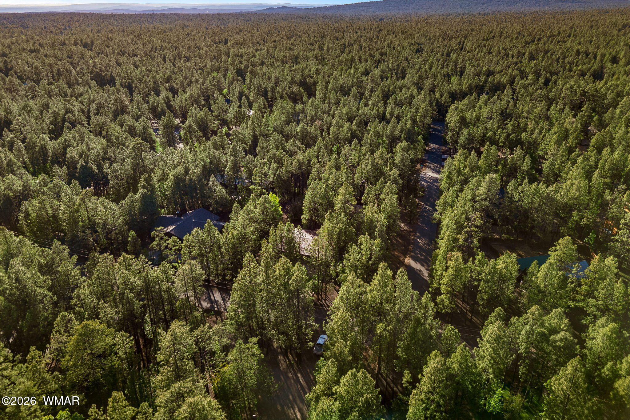 7172 Buck Springs Road Pinetop, AZ 85935 - Photo 47 of 53 7172BuckSpringsRd-Pinetop-AZ-46