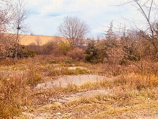 Property from the Road