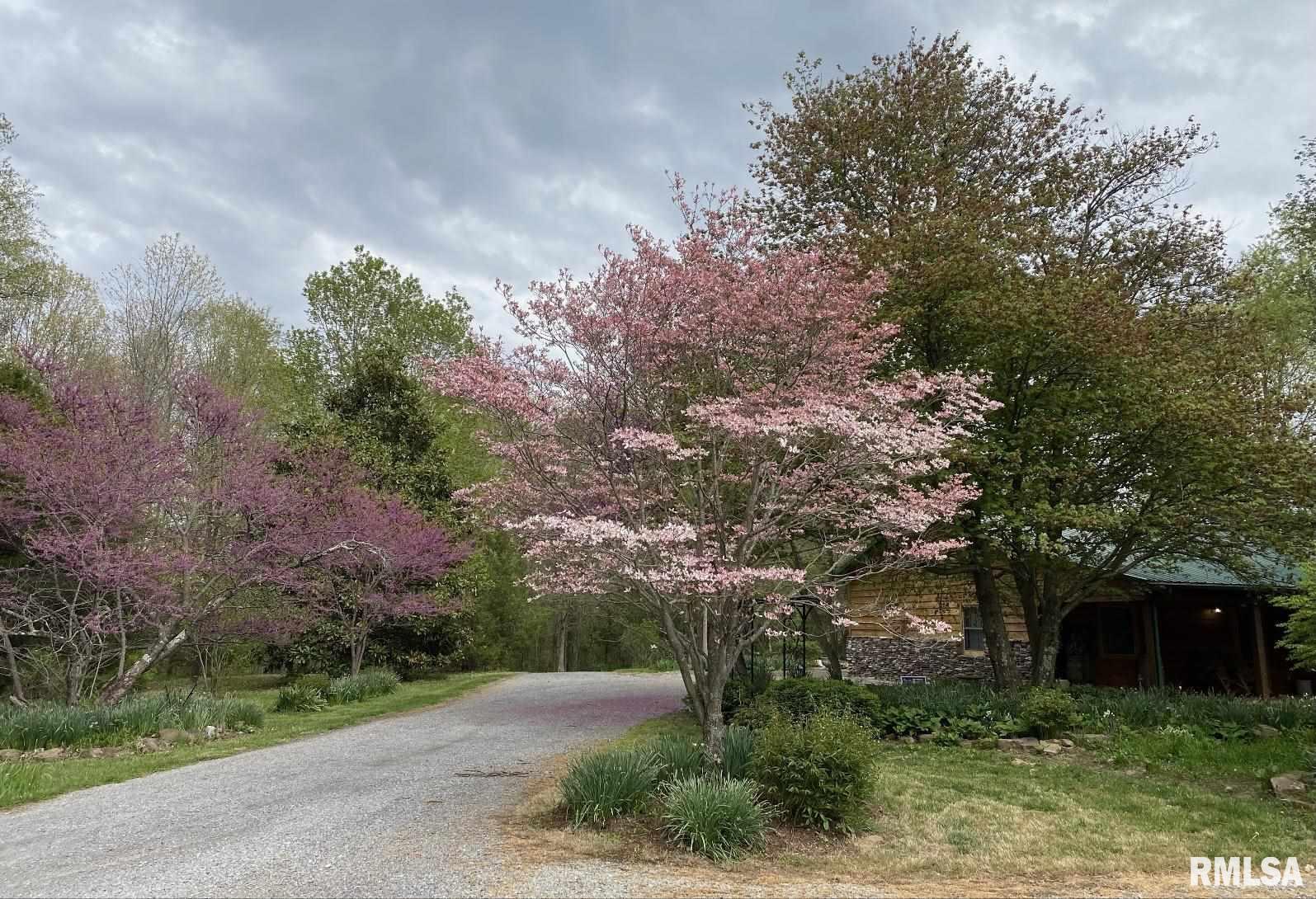 19165 Perry Road Marion, IL 62959 - Photo 46 of 46 Gallery Image 46