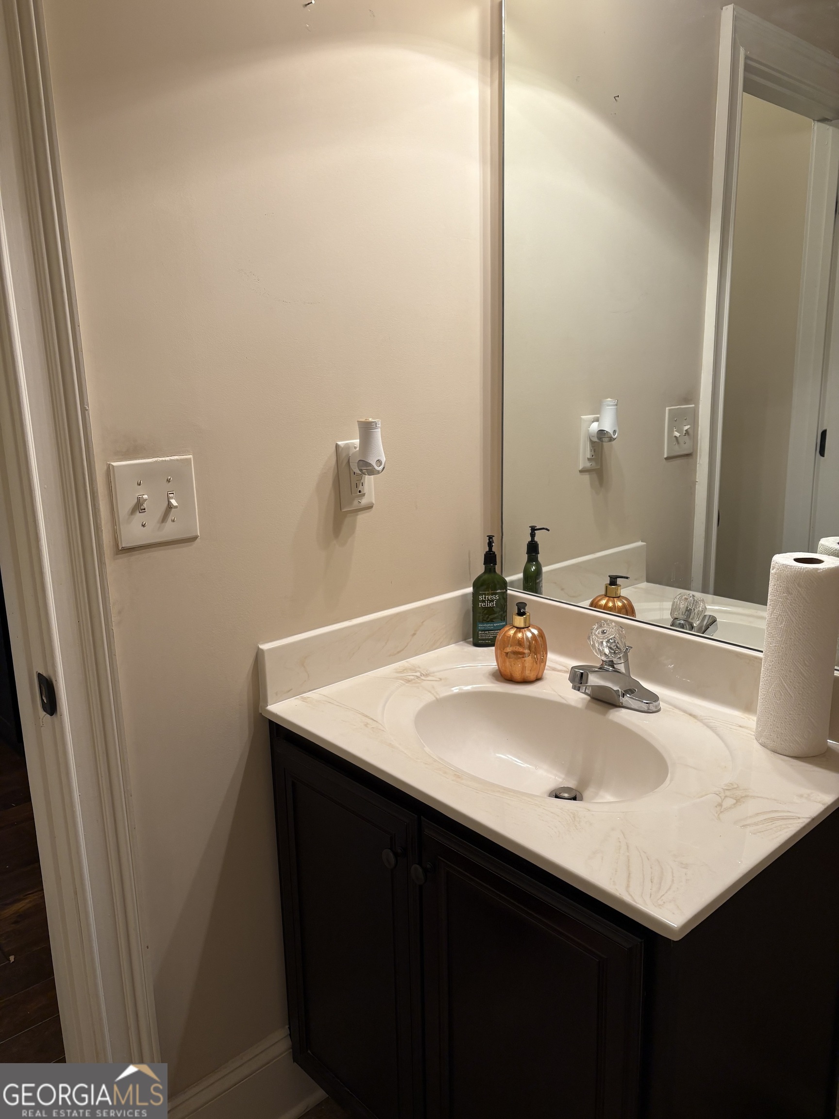 208 Deodar Lane Hampton, GA 30228 - Photo 24 of 28 a bathroom with a sink and a mirror