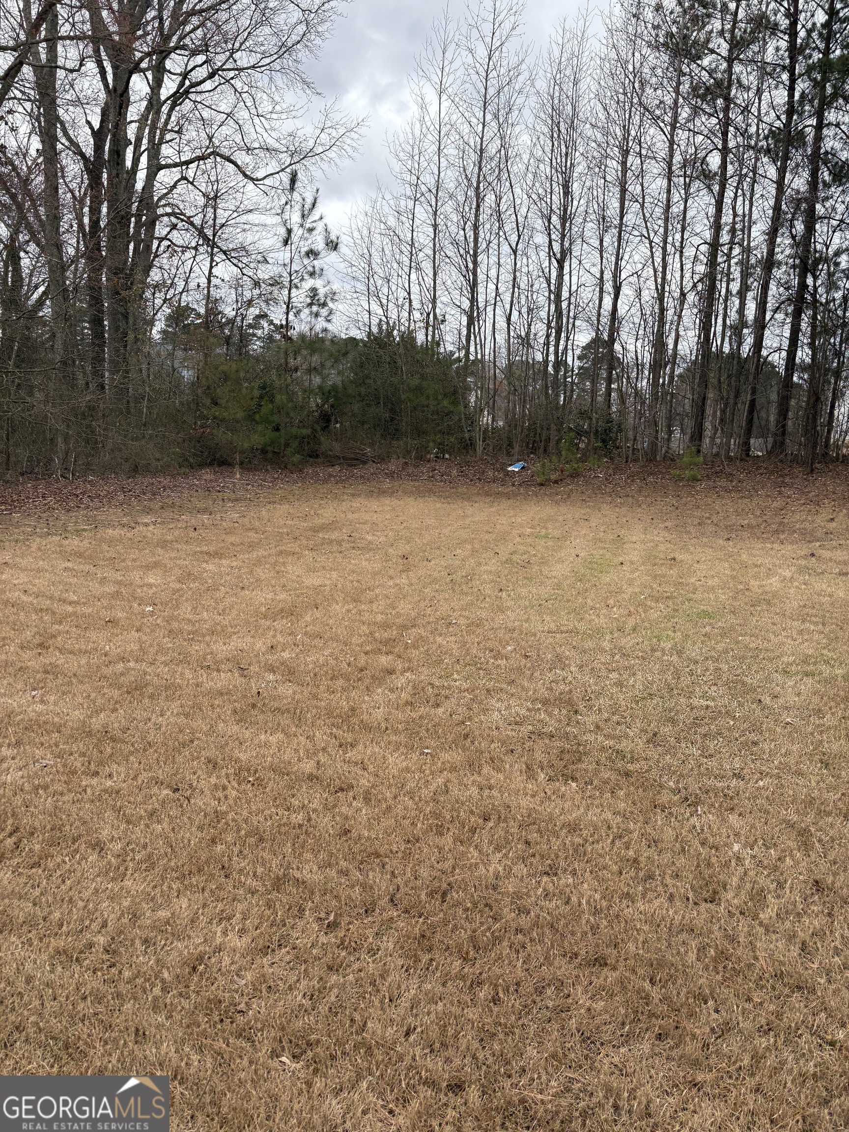 208 Deodar Lane Hampton, GA 30228 - Photo 27 of 28 a view of yard and trees