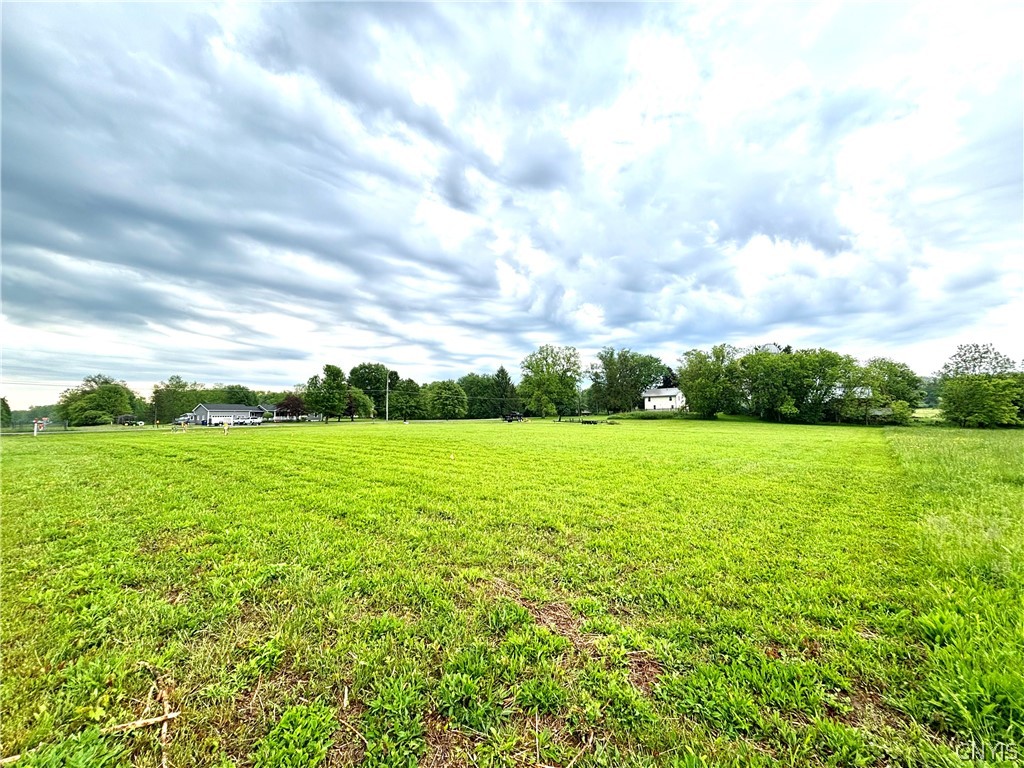 0 Beech Tree Road Auburn, NY 13021 - Photo 3 of 4