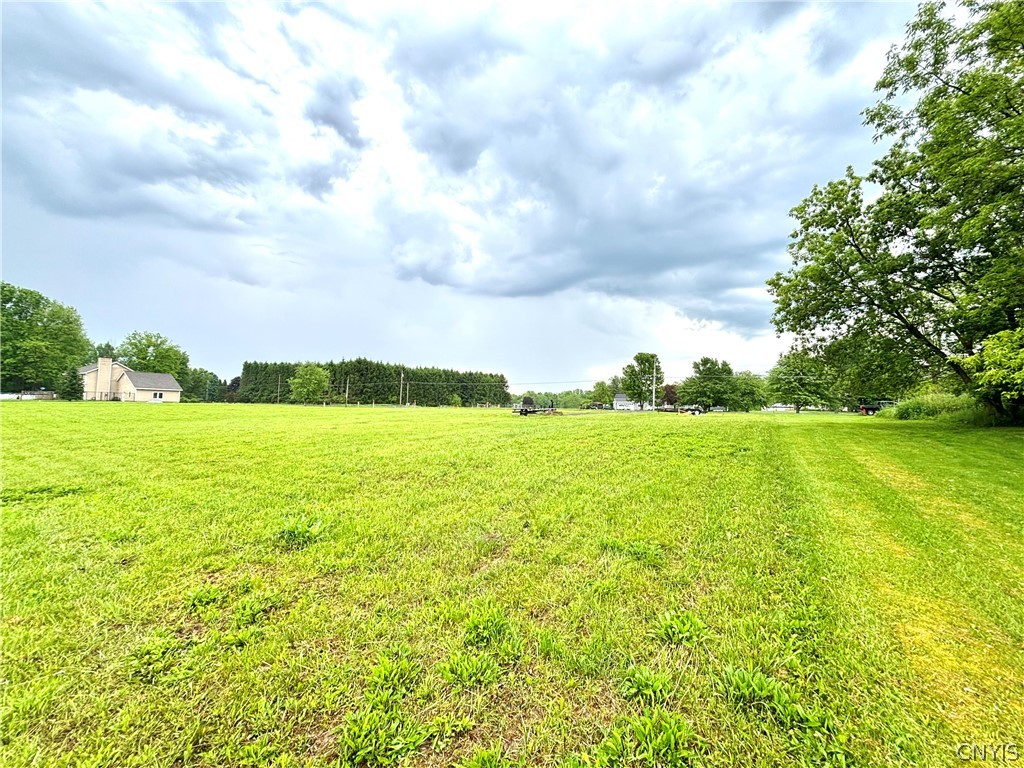 0 Beech Tree Road Auburn, NY 13021 - Photo 4 of 4