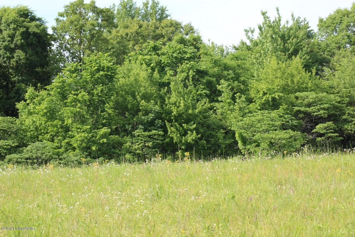 1000 Ready Jackson Road Caneyville, KY 42721 - Photo 22 of 31 Mudd Farms20