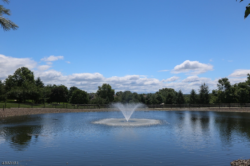 64 Sycamore Court Bernards, NJ 07920 - Photo 27 of 27 a view of water pond with green space