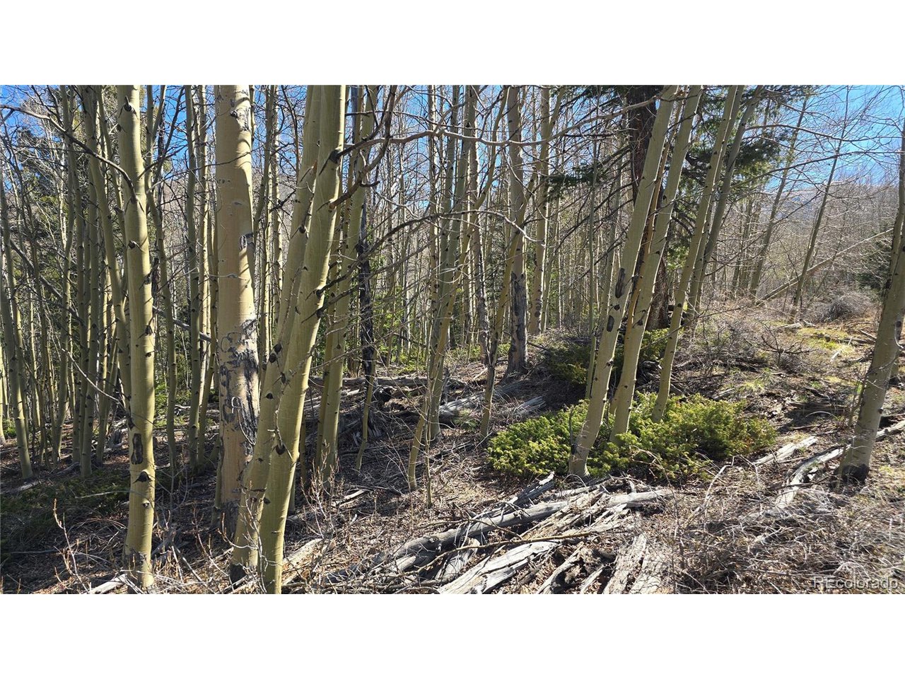 6708 Debbie Road Fort Garland, CO 81133 - Photo 17 of 28 Gallery Image 17