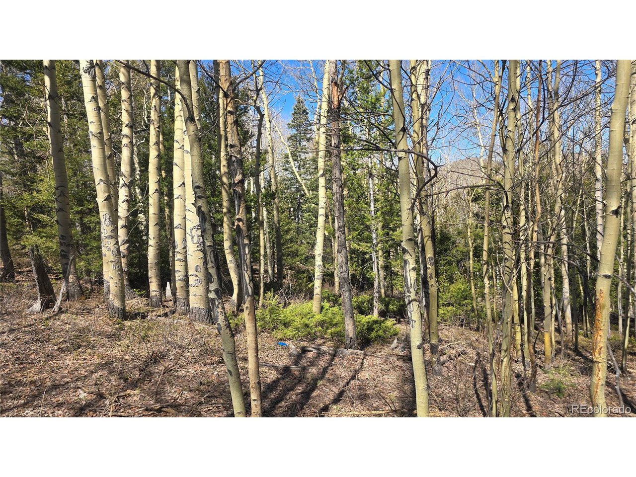 6708 Debbie Road Fort Garland, CO 81133 - Photo 20 of 28 Gallery Image 20