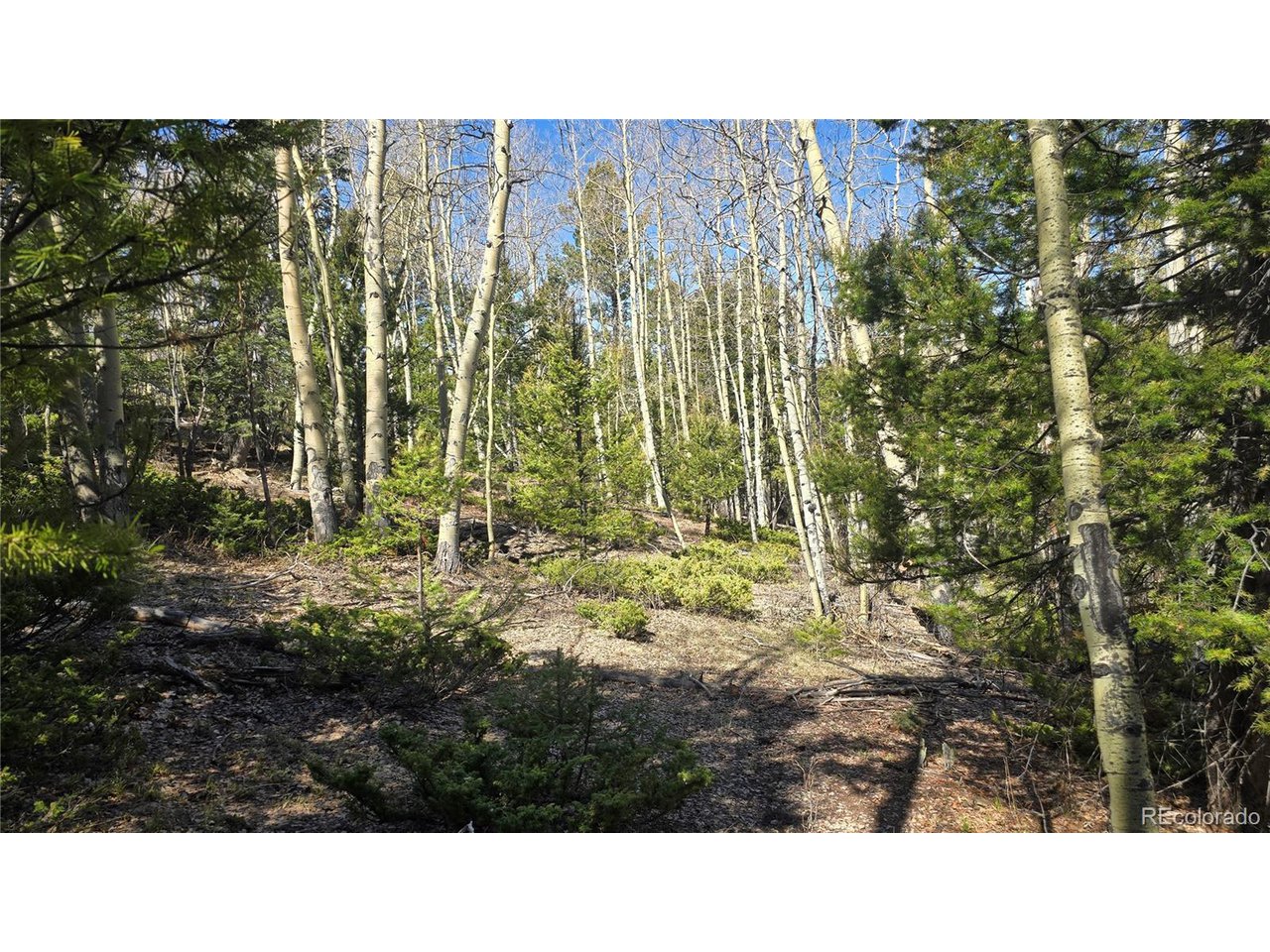 6708 Debbie Road Fort Garland, CO 81133 - Photo 22 of 28 Gallery Image 22