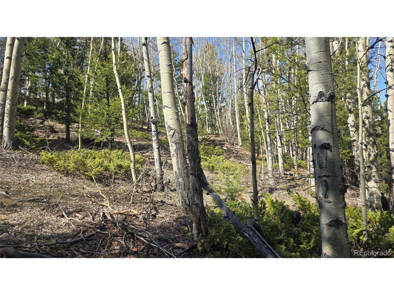 6708 Debbie Road Fort Garland, CO 81133 - Photo 24 of 28 Gallery Image 24