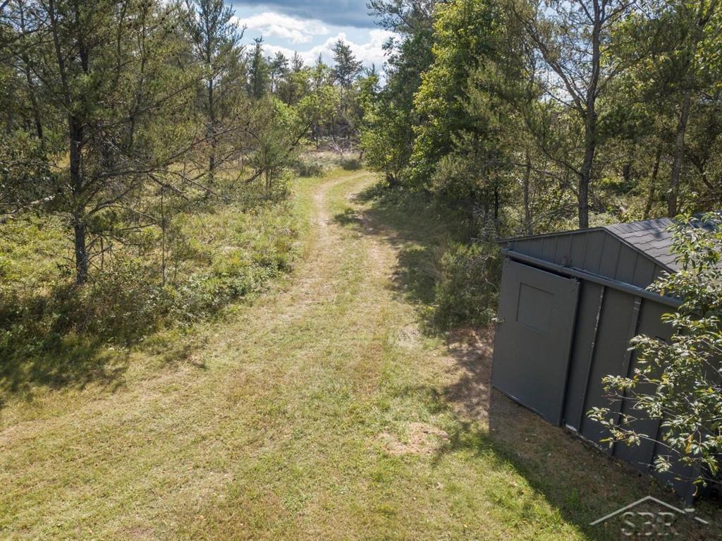Vl Kasky Road Atlanta, MI 49709 - Photo 18 of 27 Gallery Image 18