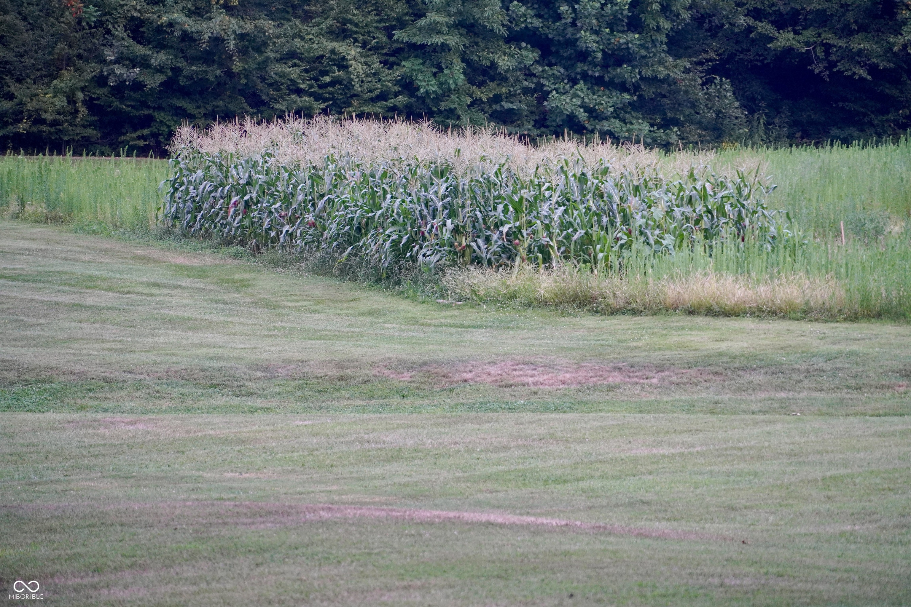 9830 Low Gap Road Martinsville, IN 46151 - Photo 170 of 192 Gallery Image 170