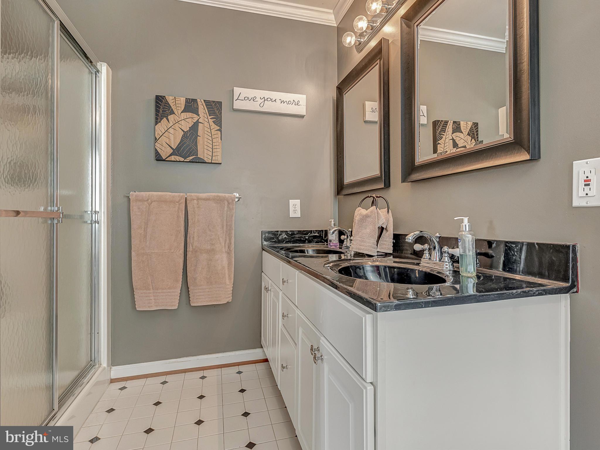 3364 Basford Road Frederick, MD 21703 - Photo 15 of 30 a bathroom with a sink a mirror and a shower