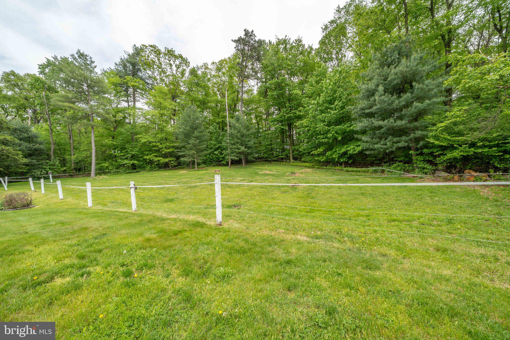 2201 Blain Road Loysville, PA 17047 - Photo 85 of 89 Lush green retreat surrounded by trees.