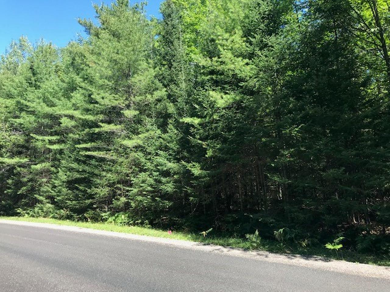 On Boygan Lake Road, Unit LOT 50 Land O'Lakes, WI 54540 - Photo 5 of 6 Gallery Image 5