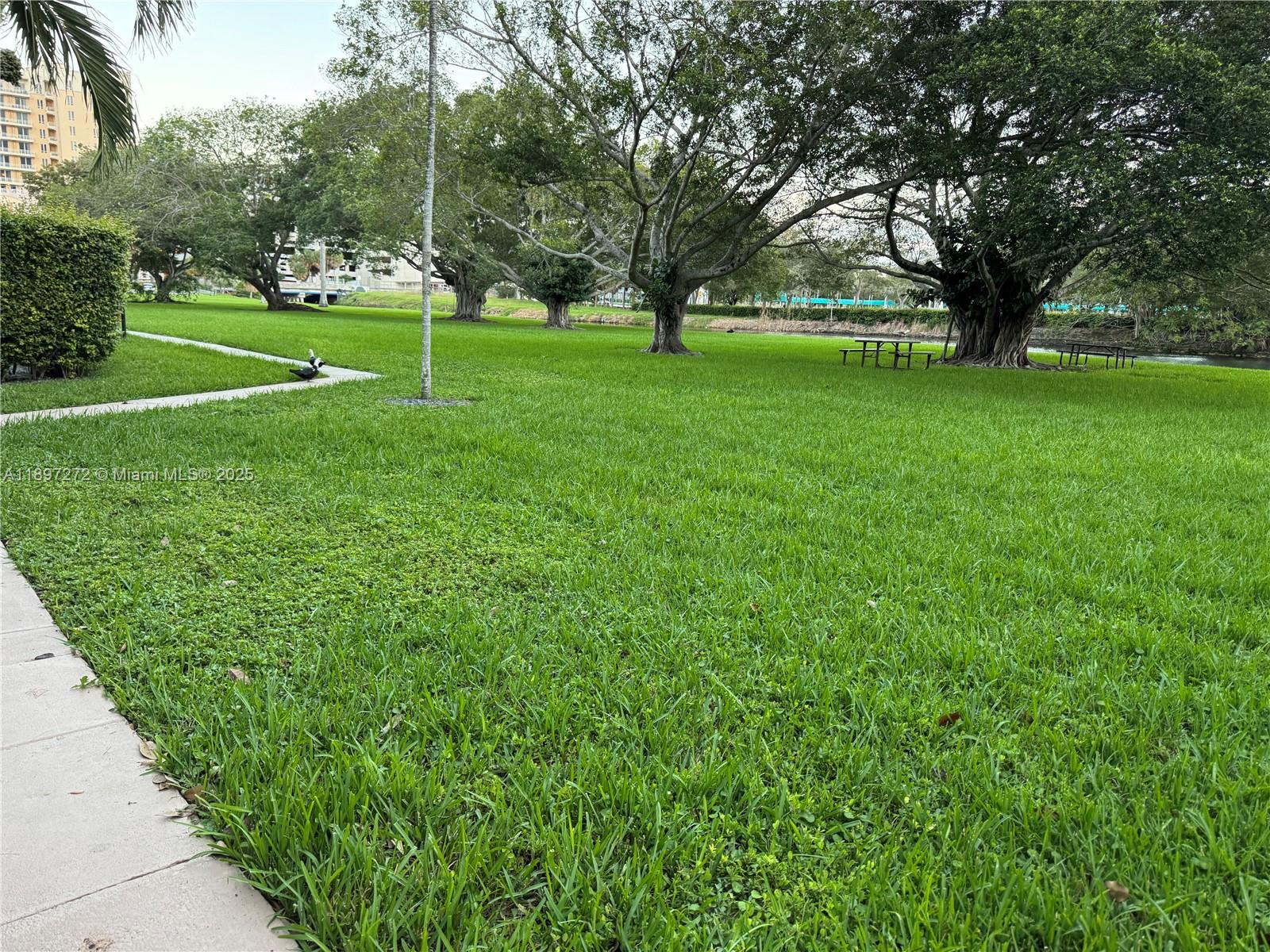 8315 Southwest 72nd Avenue, Unit 101B Miami, FL 33143 - Photo 18 of 18 a view of a park with large trees