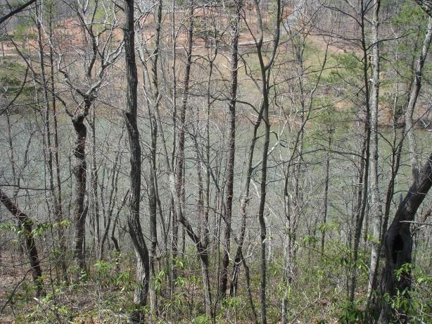 0 Trellis Ridge Drive Lynch Station, VA 24571 - Photo 2 of 2 a view of forest