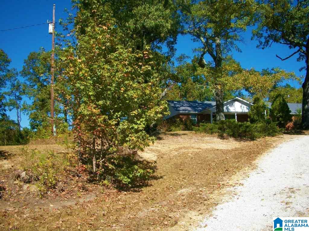 205 Gessler Drive Ohatchee, AL 36271 - Photo 46 of 50