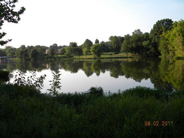 373 Davis Corner Road Mount Juliet, TN 37122 - Photo 2 of 11 view of the lake from the back of the property