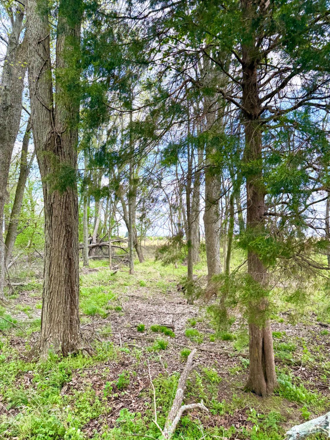 11732 Martin-Alexander Road Winchester, OH 45697 - Photo 88 of 89