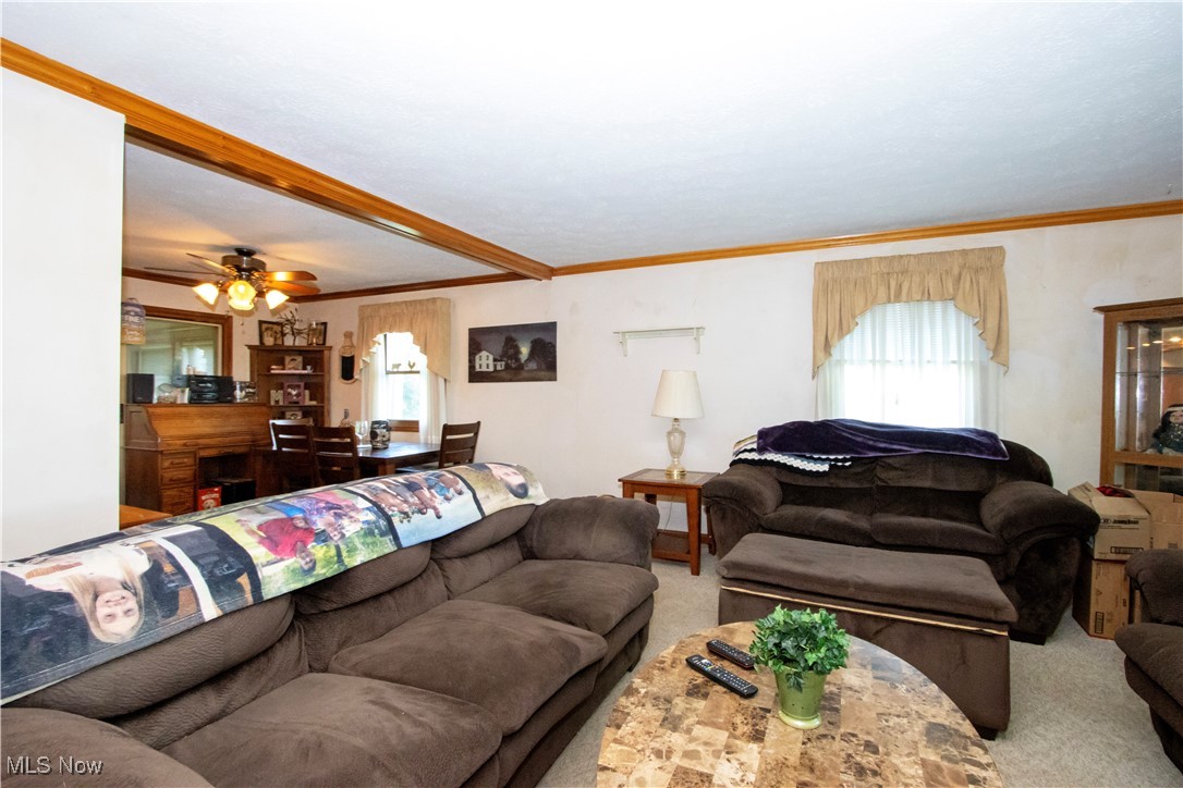 1292 Cinder Road Southeast Carrollton, OH 44615 - Photo 21 of 42 Carpeted living area with ornamental molding and ceiling fan
