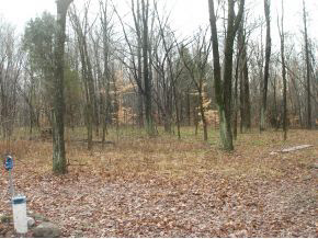 12980 Denmark Road Coal City, IN 47427 - Photo 4 of 19 Gallery Image 4