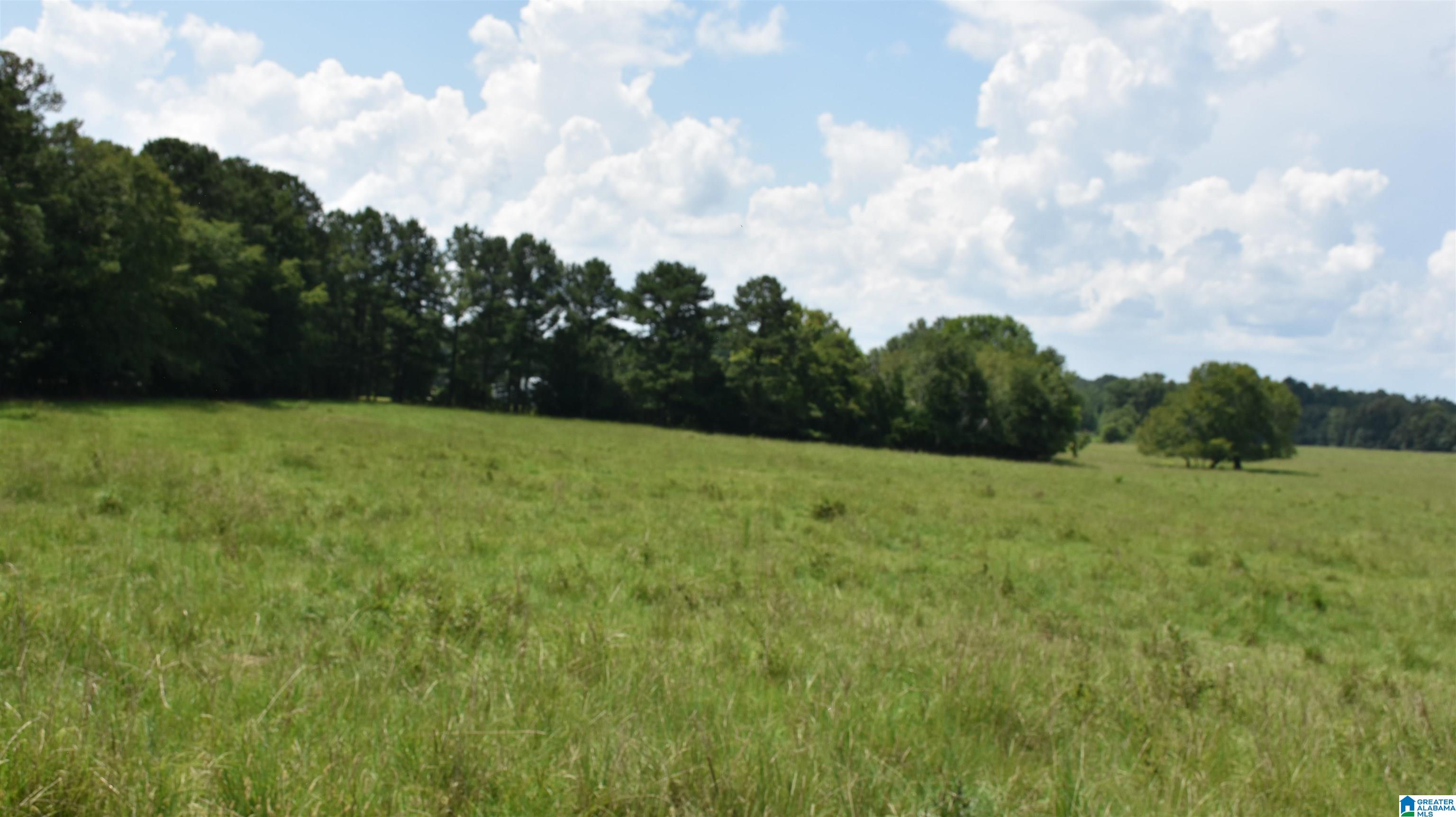 0 Risers Mill Road Alpine, AL 35014 - Photo 13 of 25