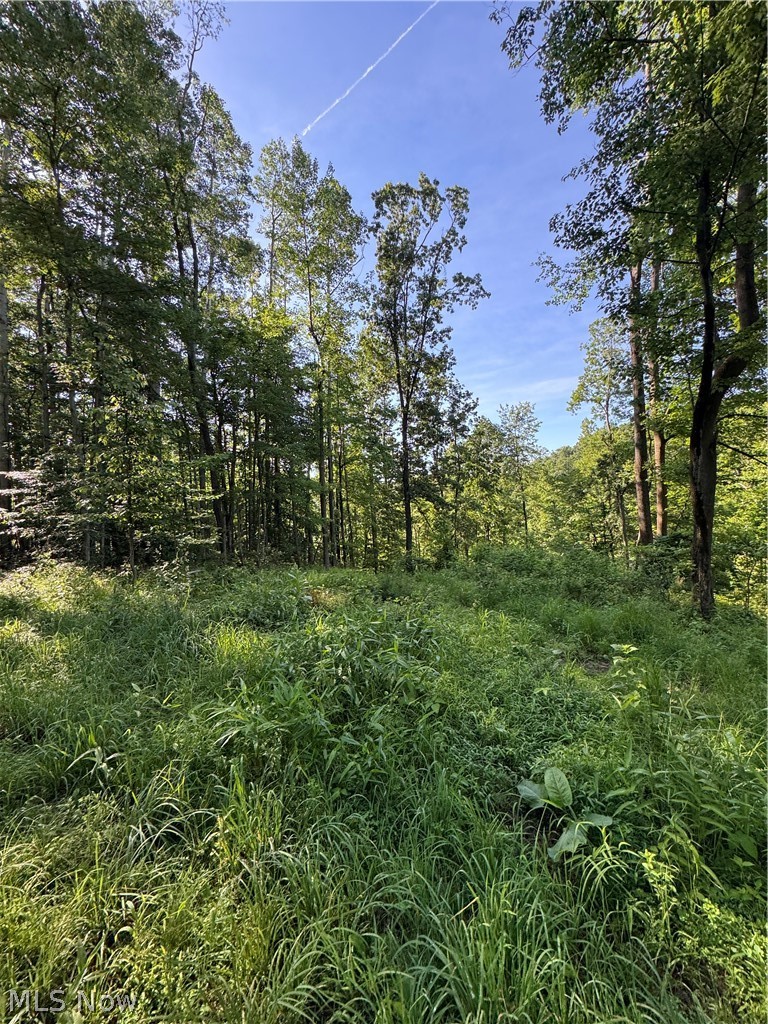 Stone Quarry Road Danville, OH 43014 - Photo 43 of 50