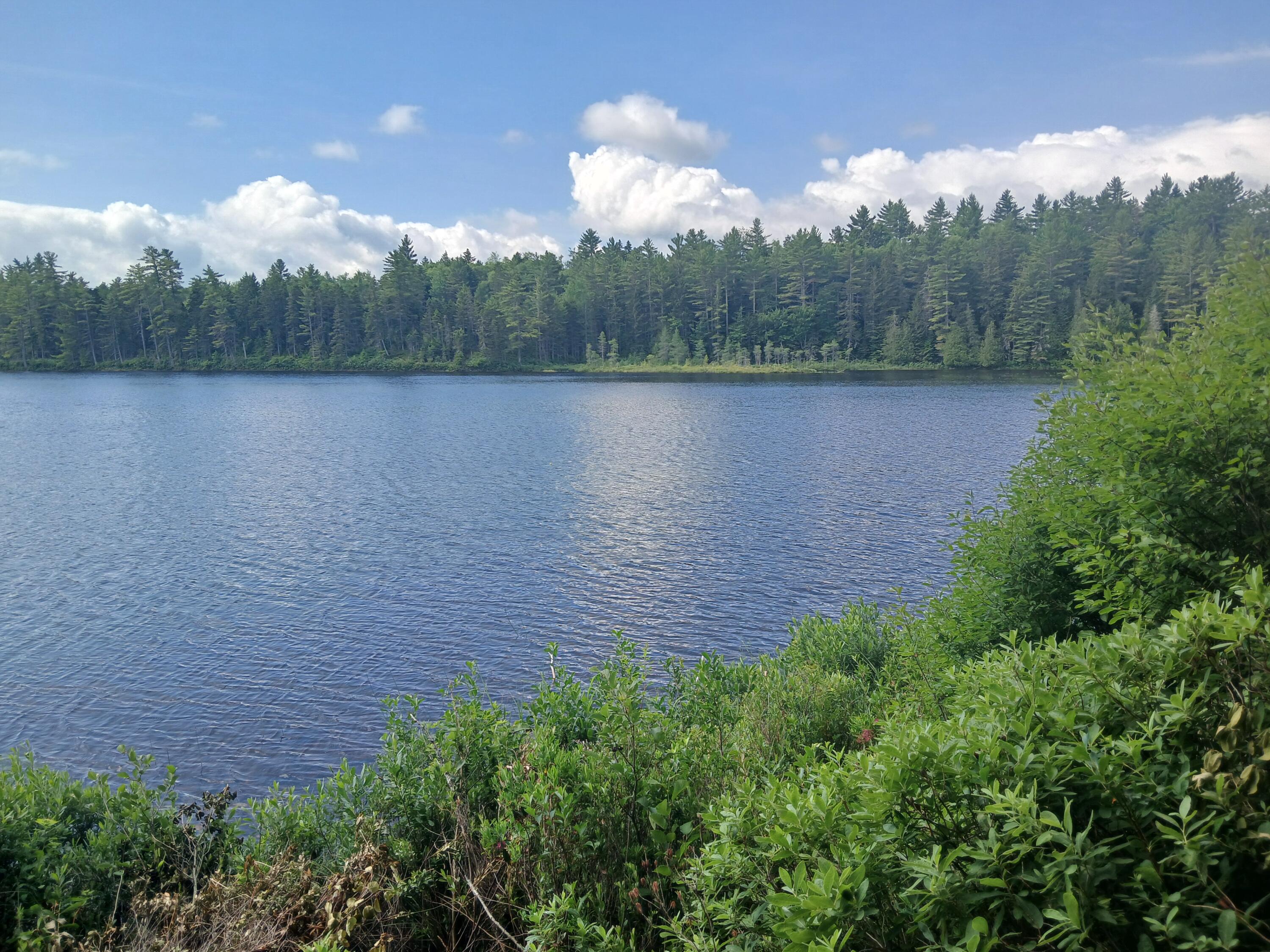 Lot # Lot#16.1 Middle Road Bingham, ME 04920 - Photo 2 of 6 Beautiful Water frontage