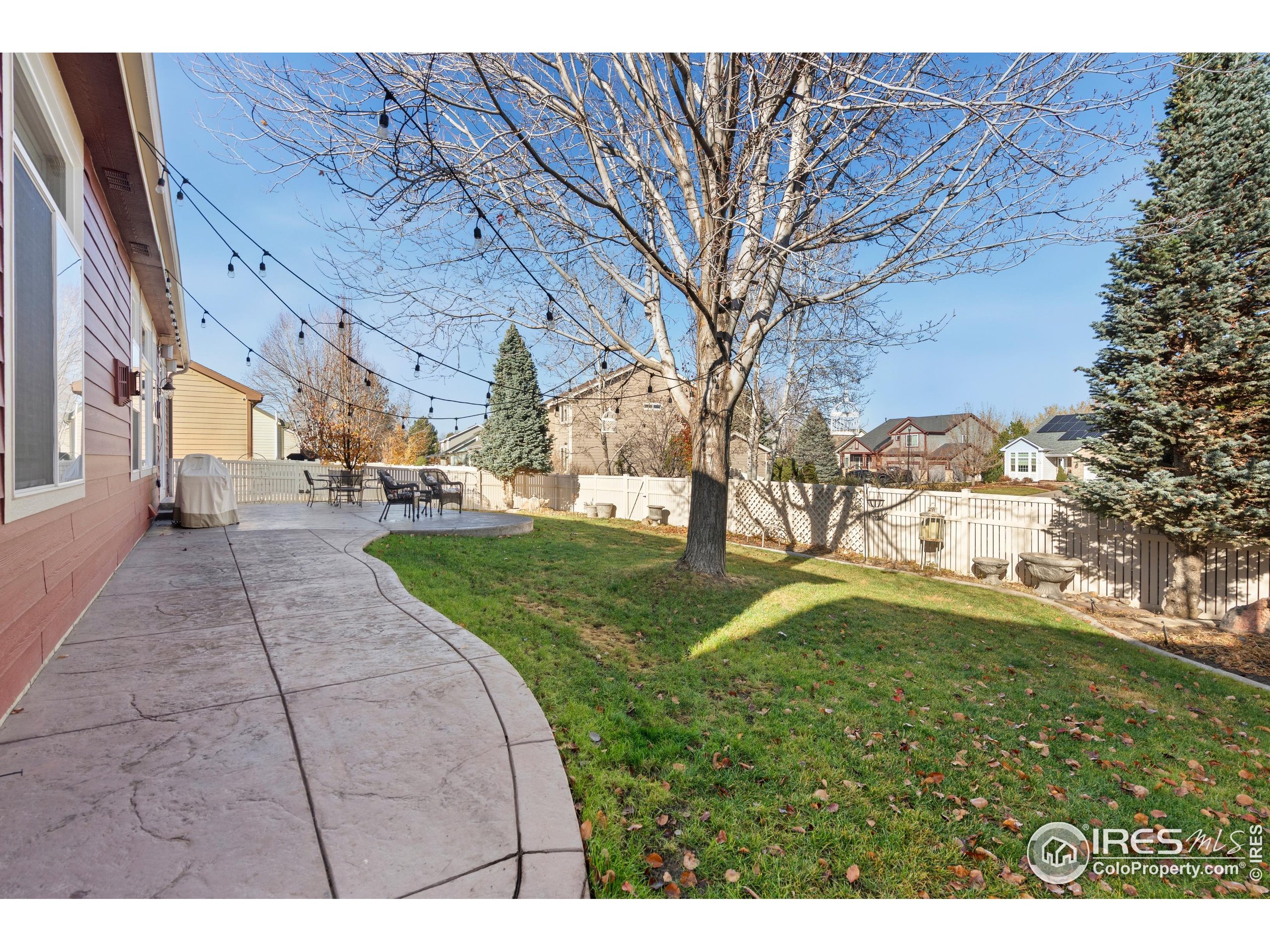 6685 Sage Avenue Firestone, CO 80504 - Photo 21 of 22 a view of yard with tree