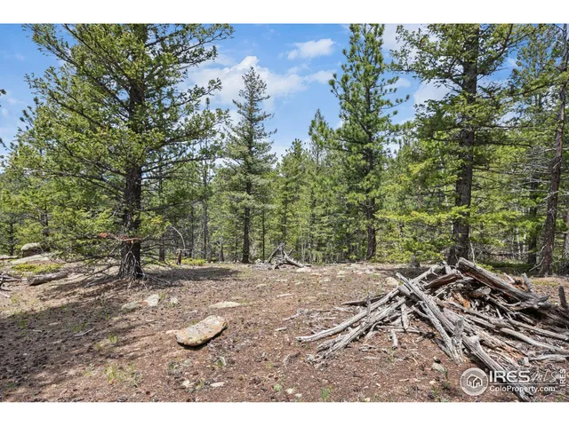 a view of a lake and a yard