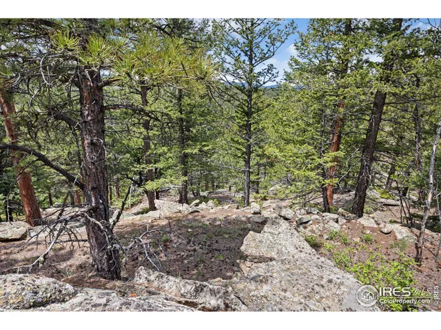 a view of a large yard with lots of green space