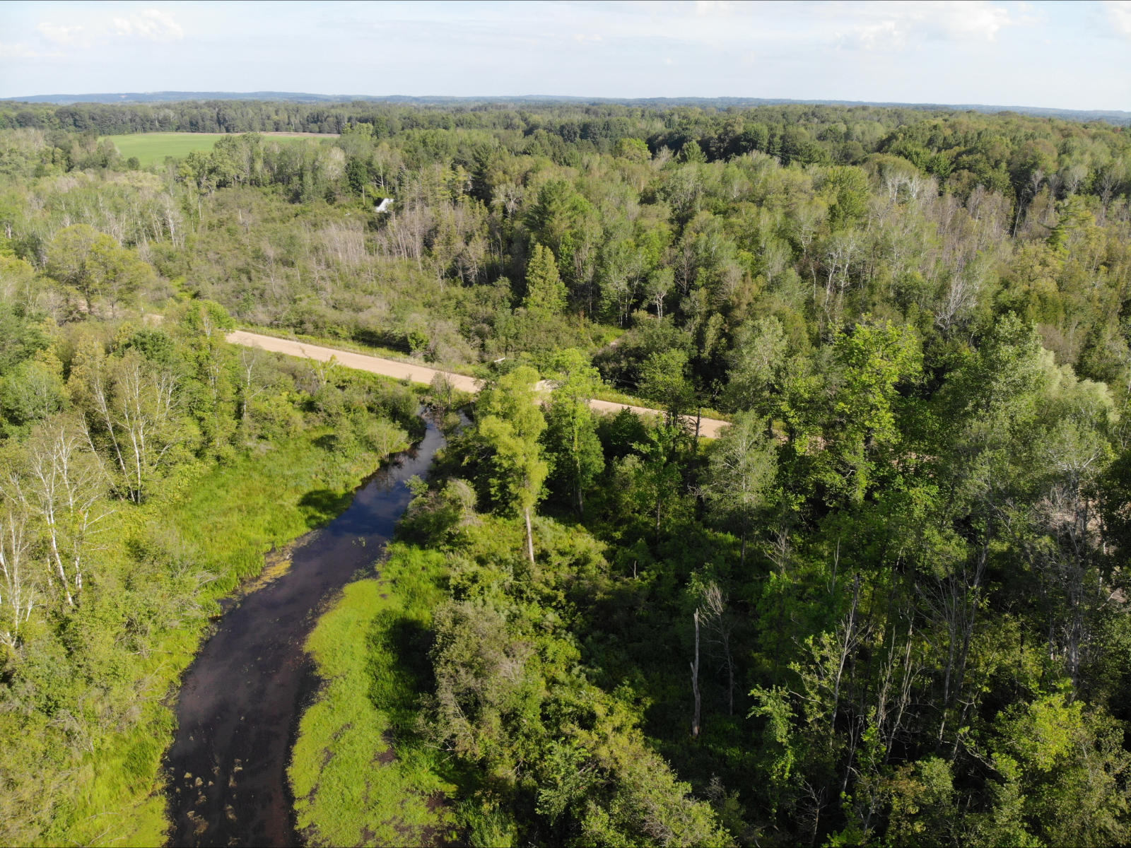 V/l West Vernon Road Weidman, MI 48893 - Photo 12 of 64 DJI_0618