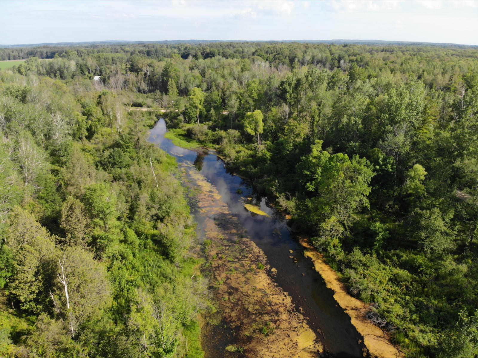 V/l West Vernon Road Weidman, MI 48893 - Photo 13 of 64 DJI_0605