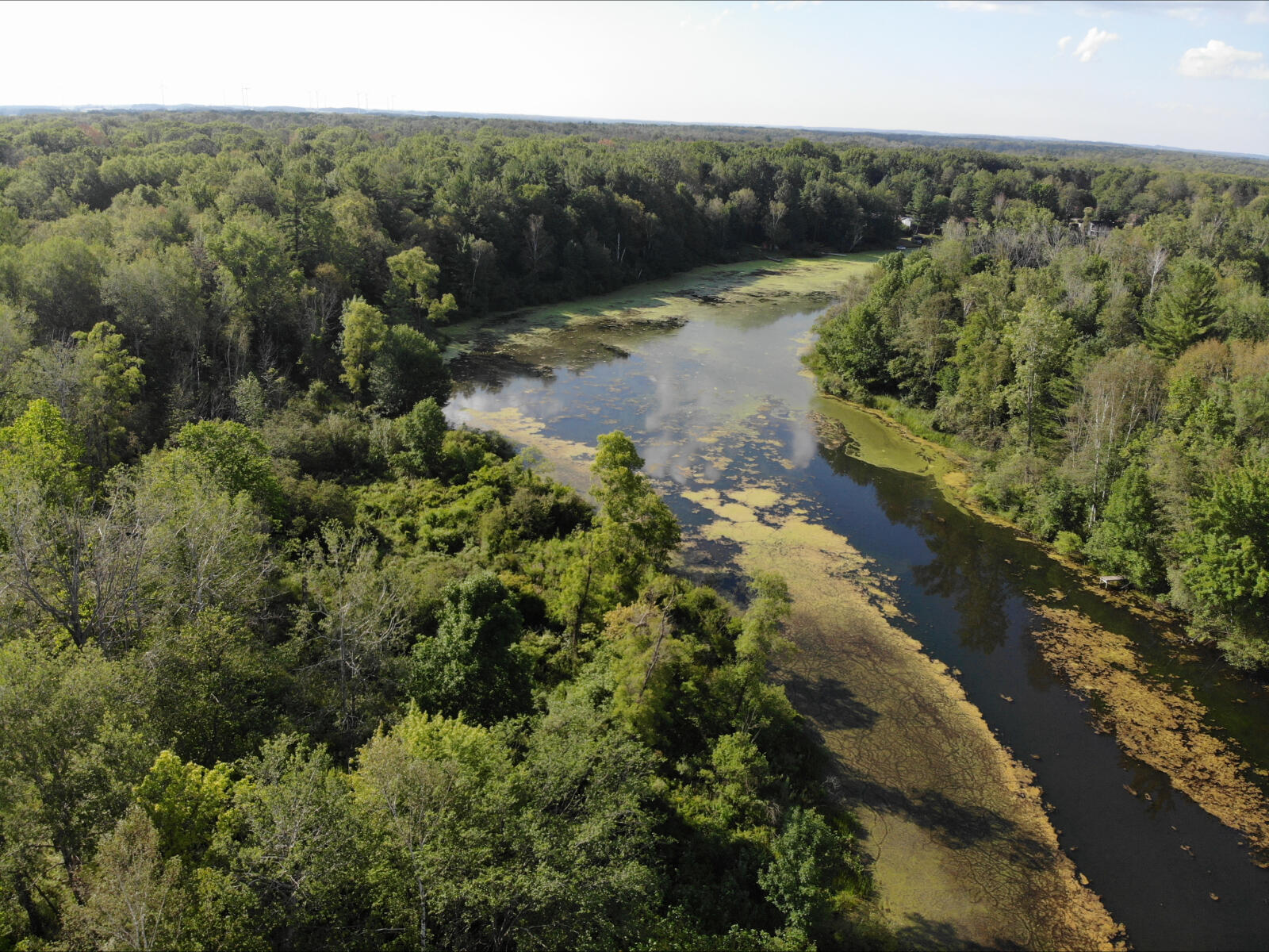 V/l West Vernon Road Weidman, MI 48893 - Photo 14 of 64 DJI_0614