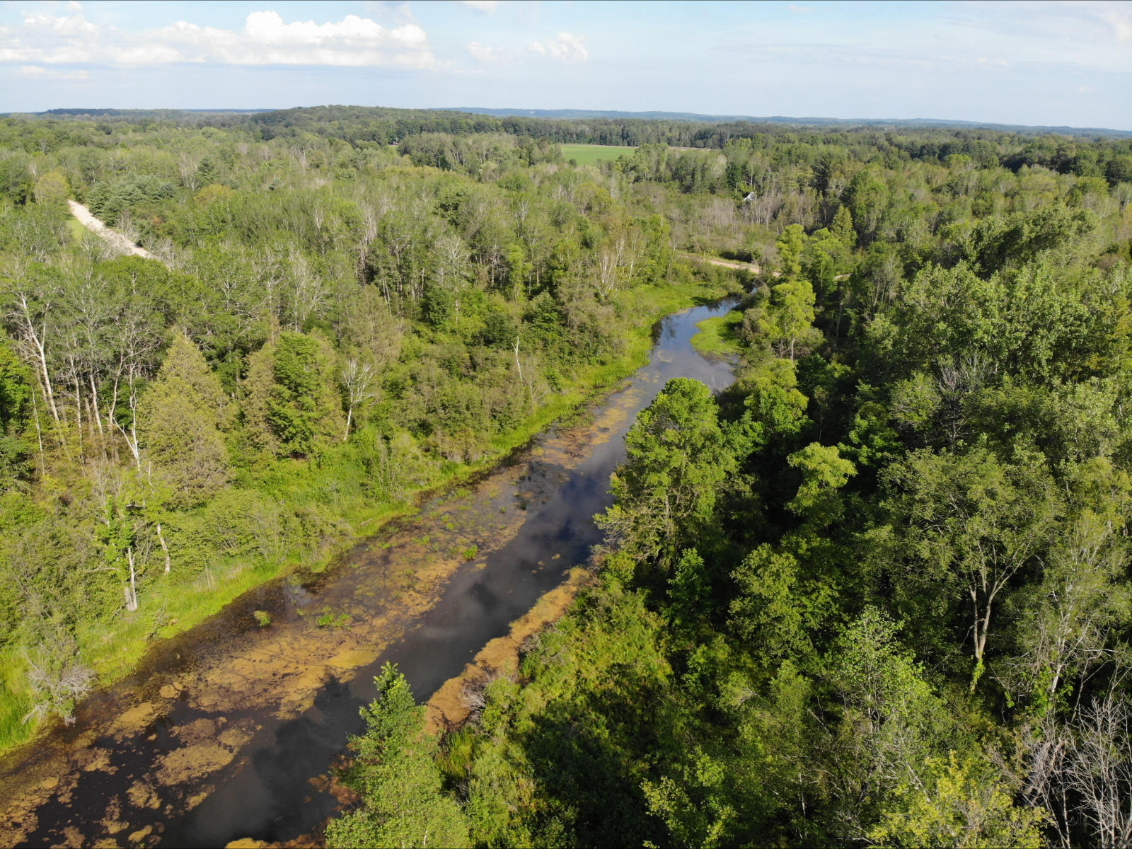 V/l West Vernon Road Weidman, MI 48893 - Photo 15 of 64 DJI_0616