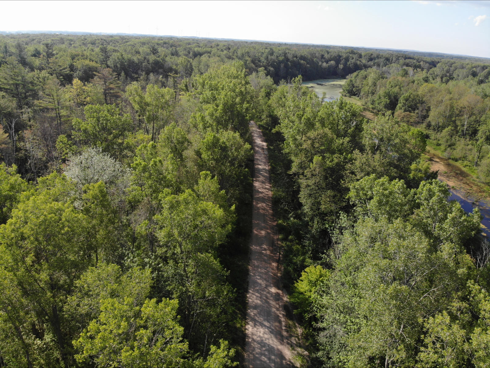 V/l West Vernon Road Weidman, MI 48893 - Photo 16 of 64 DJI_0627