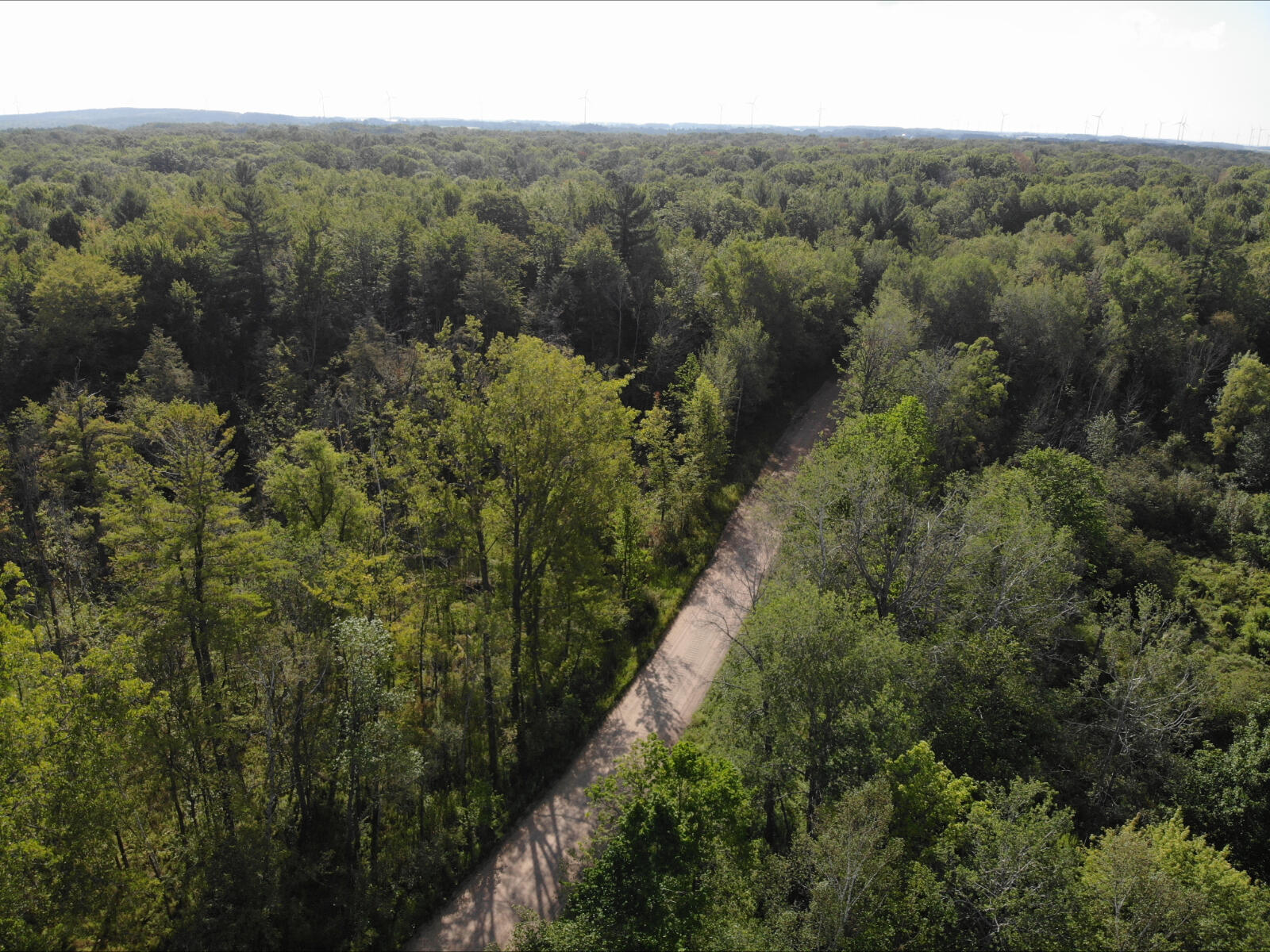 V/l West Vernon Road Weidman, MI 48893 - Photo 17 of 64 DJI_0613
