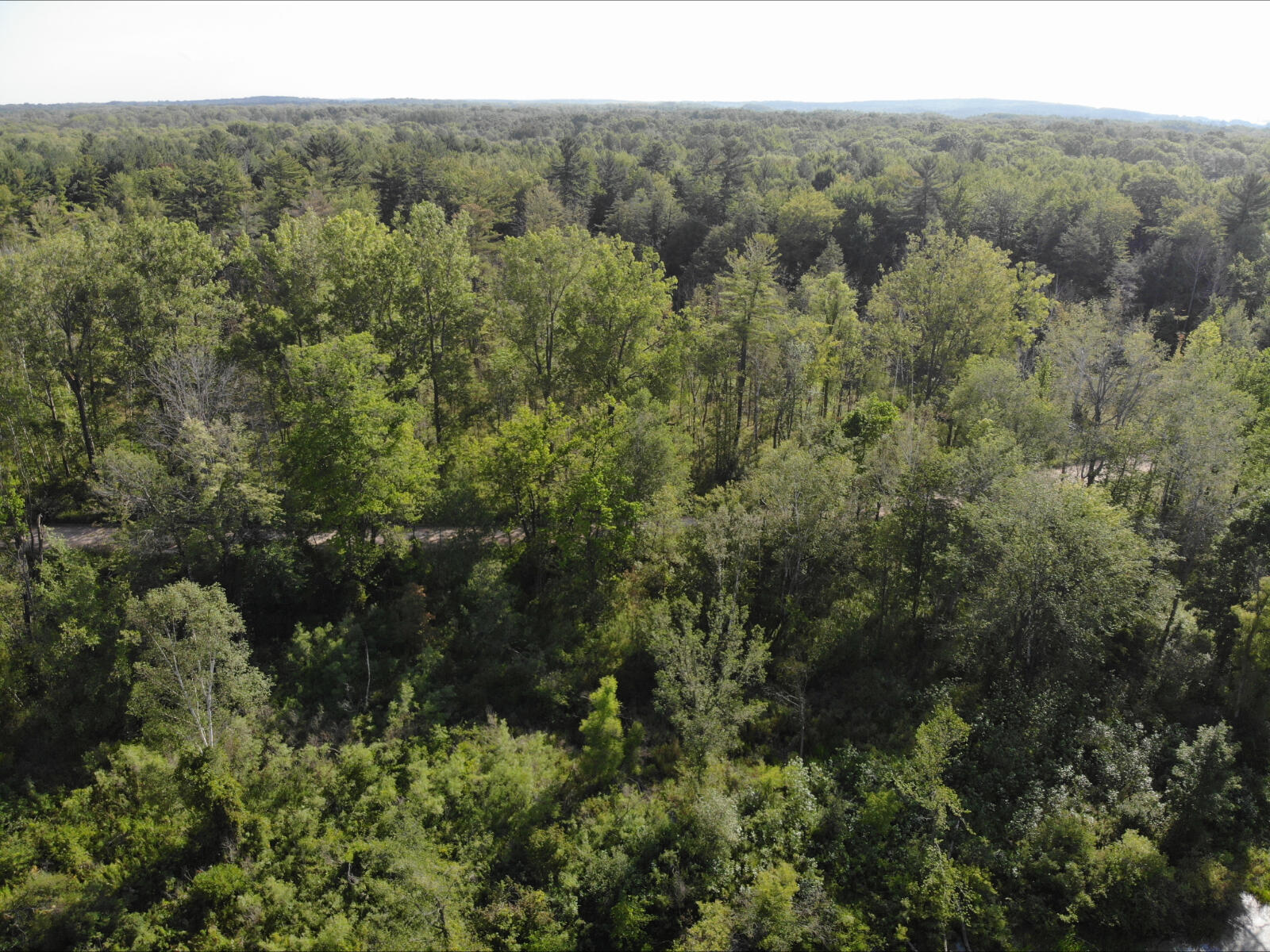 V/l West Vernon Road Weidman, MI 48893 - Photo 18 of 64 DJI_0610