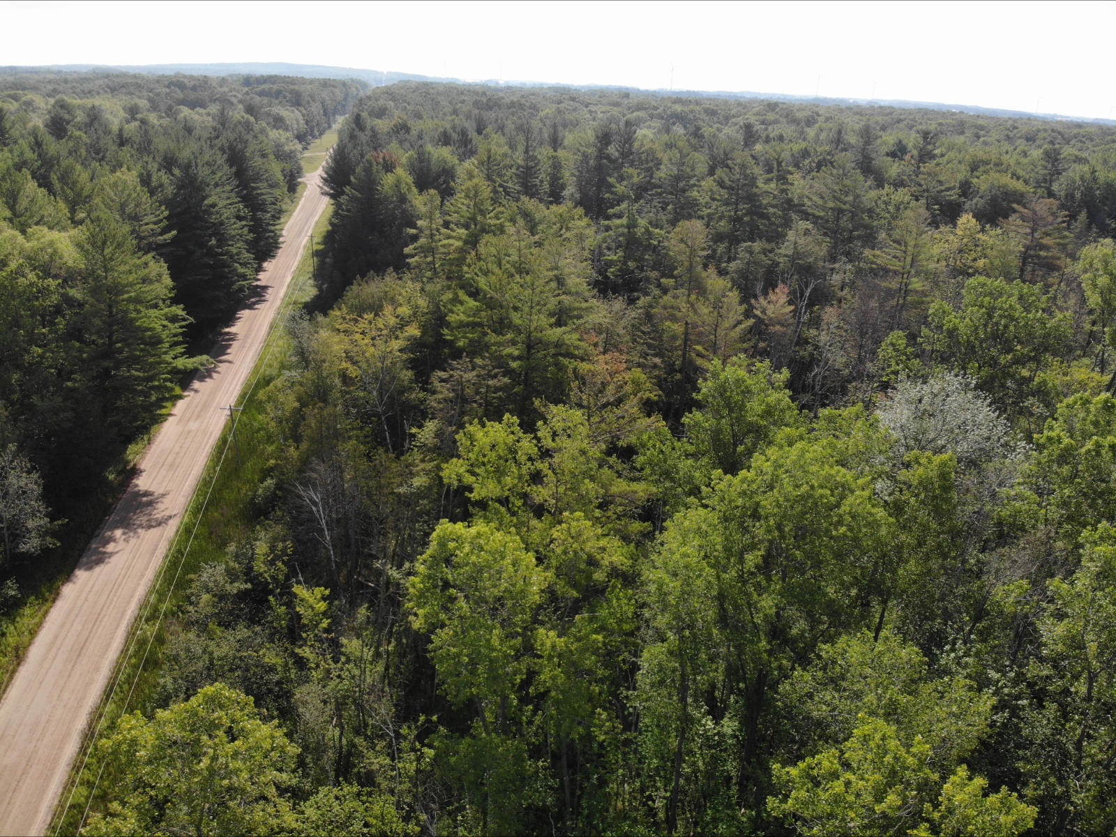 V/l West Vernon Road Weidman, MI 48893 - Photo 19 of 64 DJI_0626