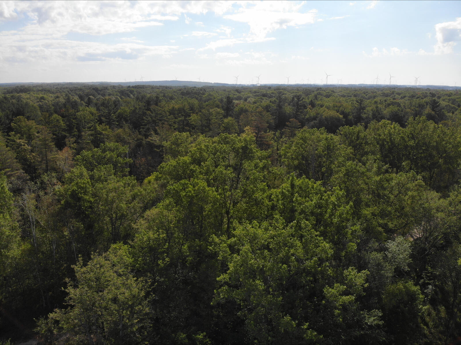V/l West Vernon Road Weidman, MI 48893 - Photo 20 of 64 DJI_0624