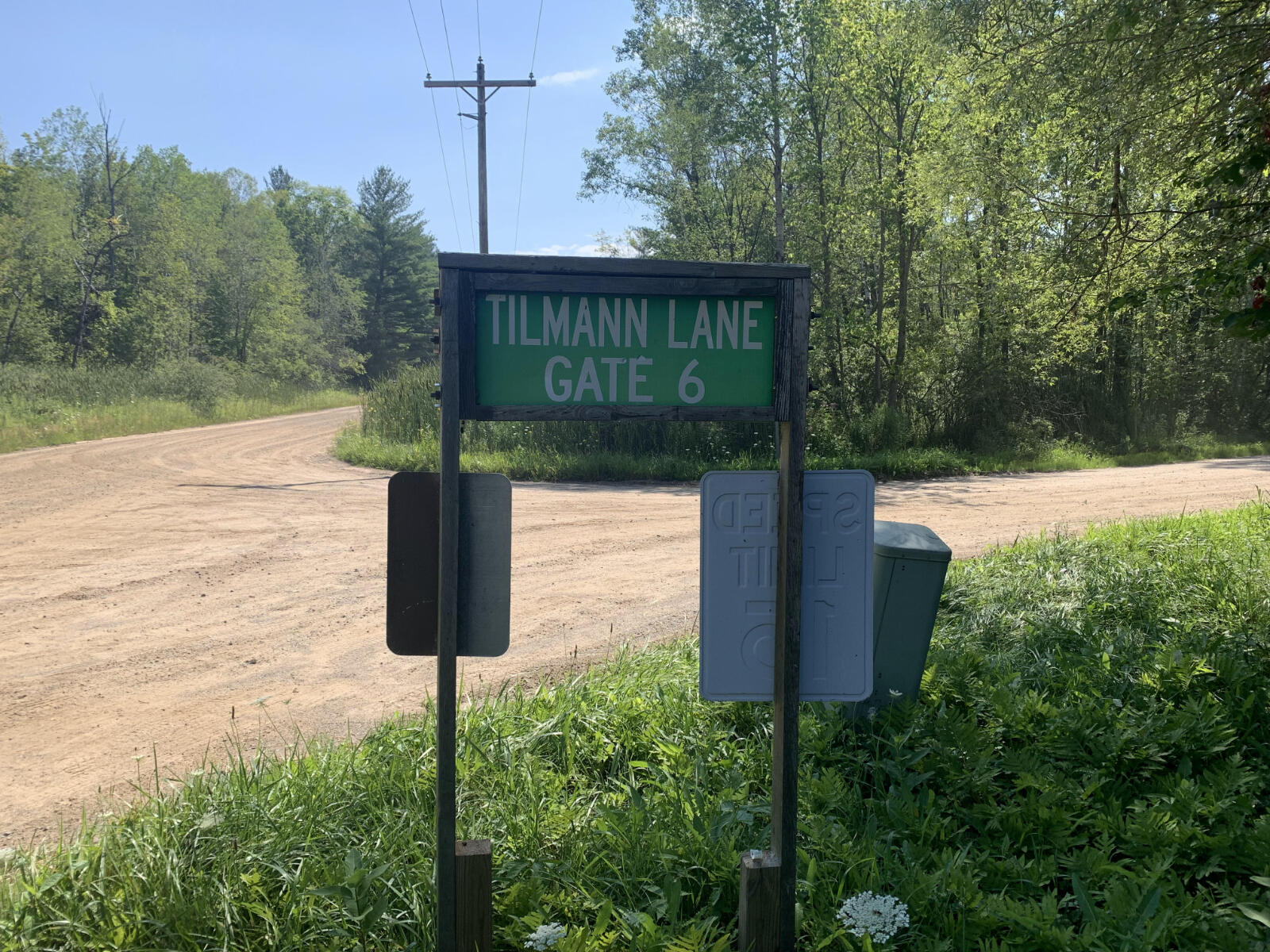 V/l West Vernon Road Weidman, MI 48893 - Photo 57 of 64 IMG_4621