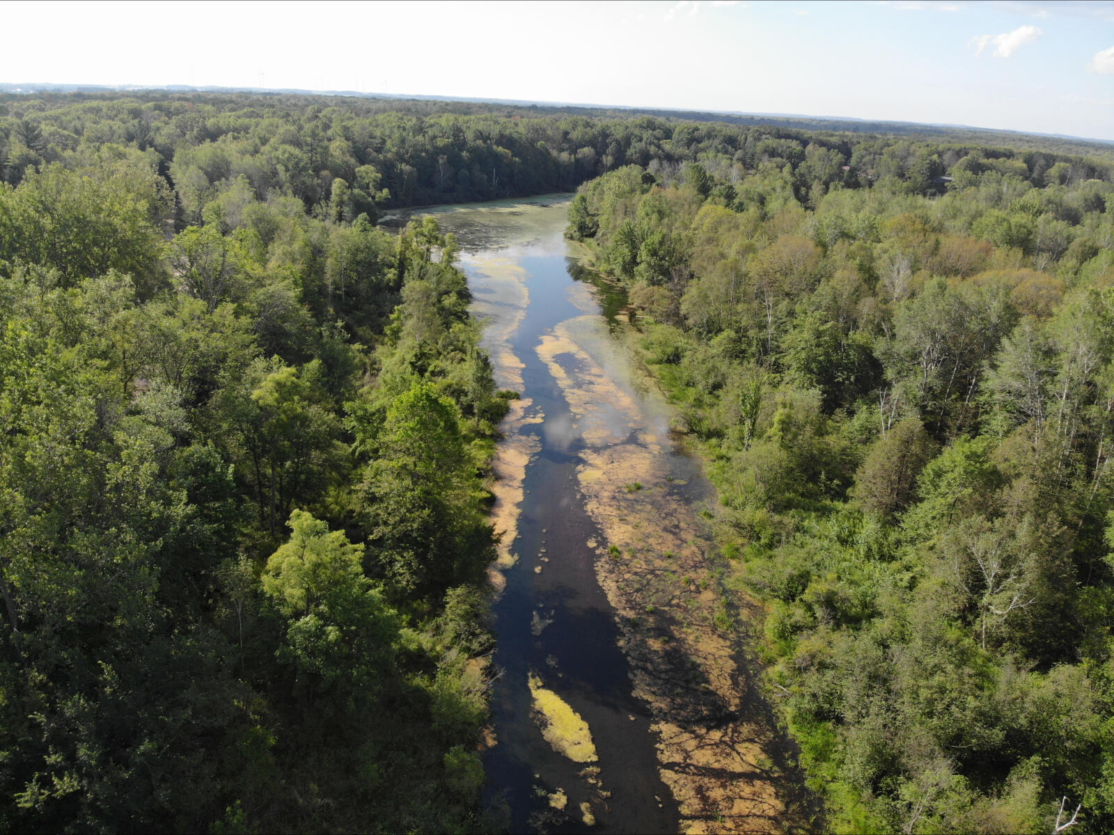 V/l West Vernon Road Weidman, MI 48893 - Photo 60 of 64 DJI_0590