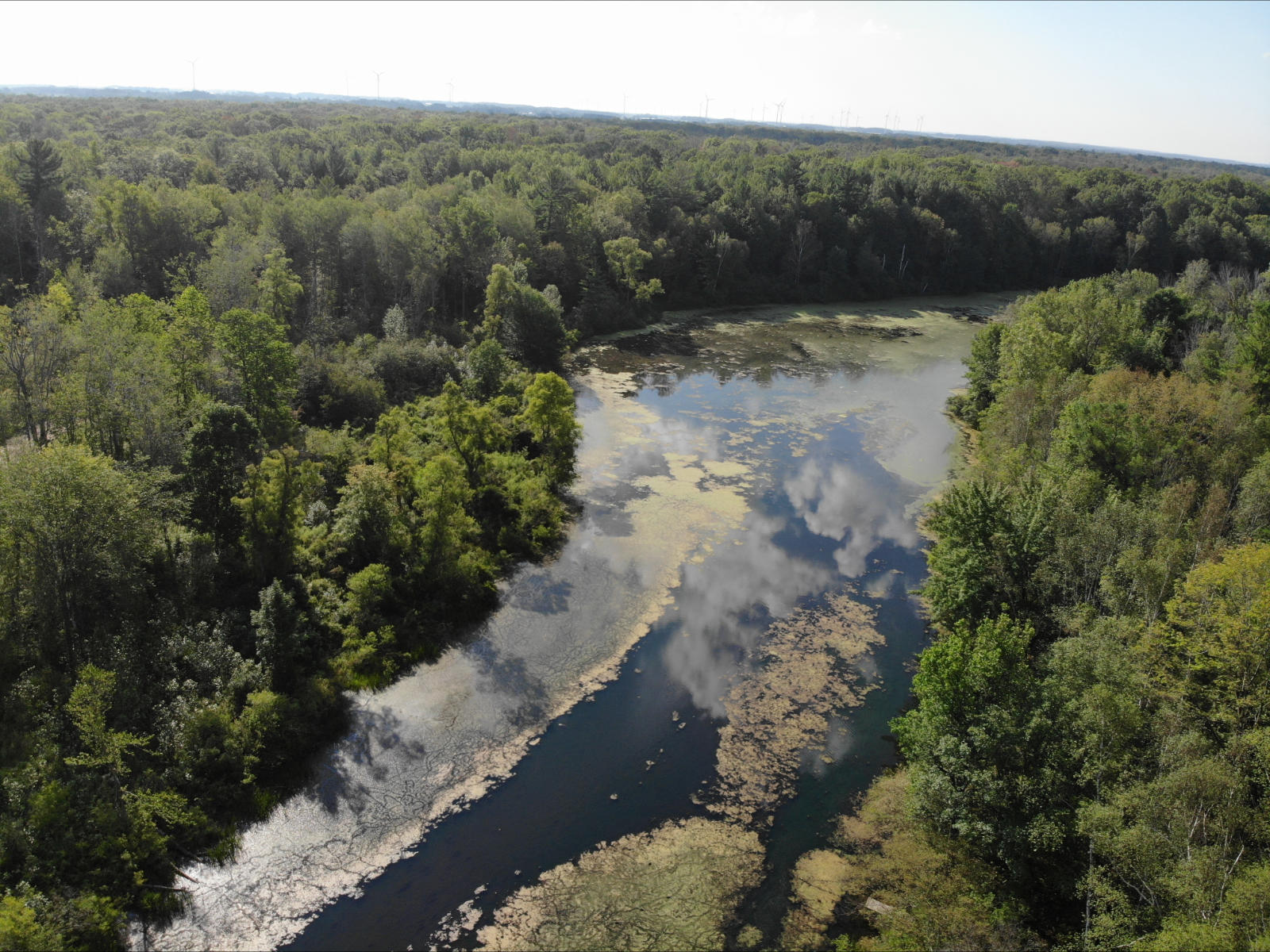 V/l West Vernon Road Weidman, MI 48893 - Photo 61 of 64 DJI_0601