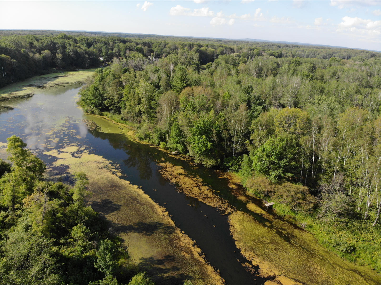V/l West Vernon Road Weidman, MI 48893 - Photo 62 of 64 DJI_0615