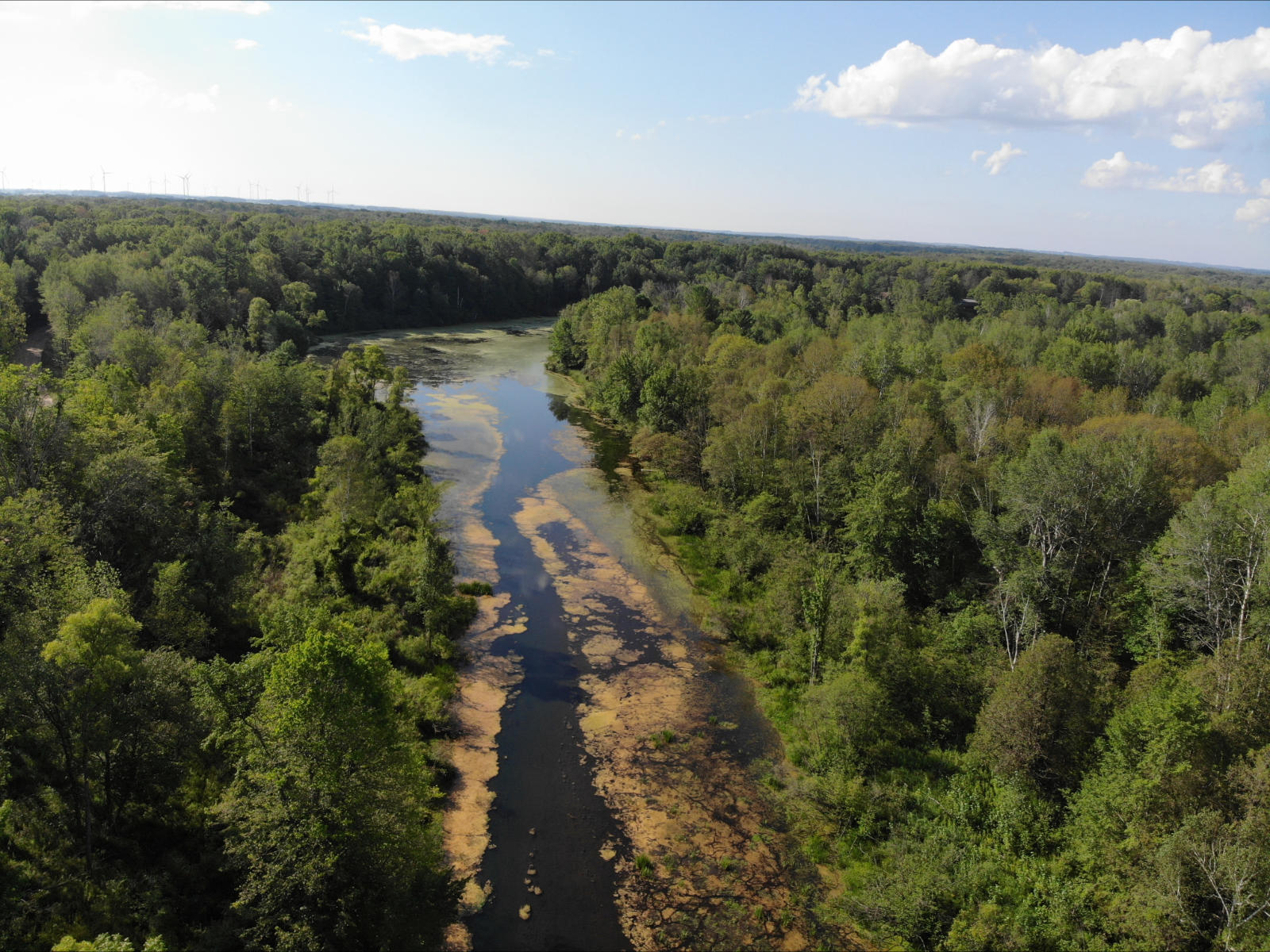 V/l West Vernon Road Weidman, MI 48893 - Photo 7 of 64 DJI_0621